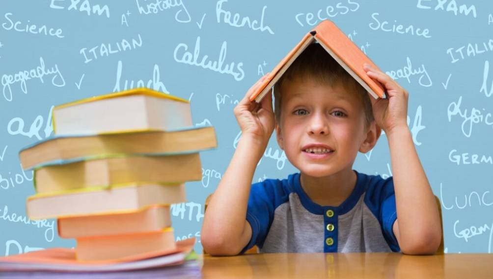 9 Signs Your Child Is Ready for Structured Learning