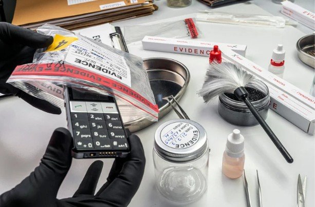 Forensic Accountants