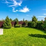 5 Easy Ways to Start a Home Garden
