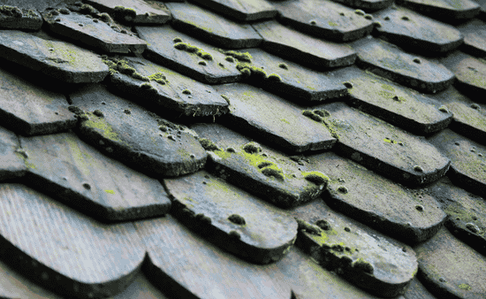 Protect Against Weather Damage