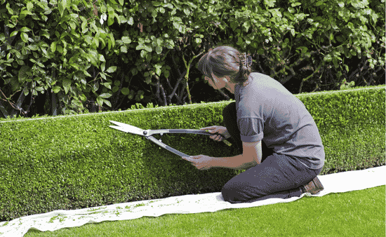 Simple Landscaping Ideas Using Native Plants