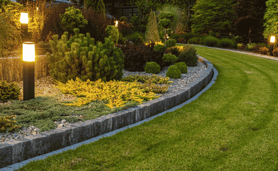 Why Native Plants Work Well in Local Landscapes