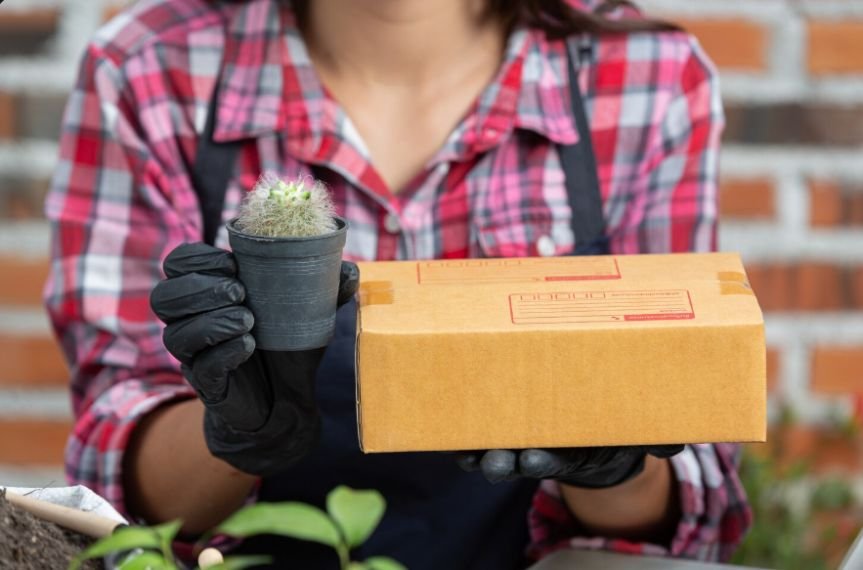 Eco-Friendly Solutions with Compostable Mailers