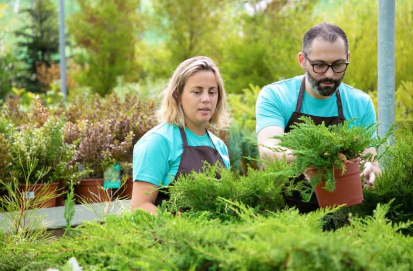 Plant Selection Is Where Many Utah Yards Win or Fail