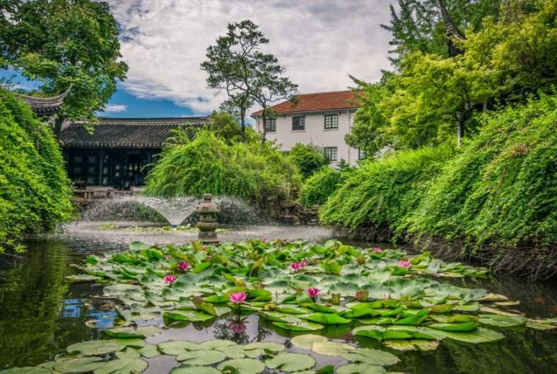 Water-Wise Landscaping Ideas for Utah Yards That Balance Beauty, Function, and Climate Reality