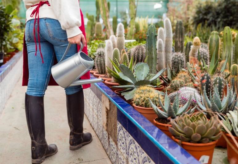Xeriscaping Without the Sterile Look